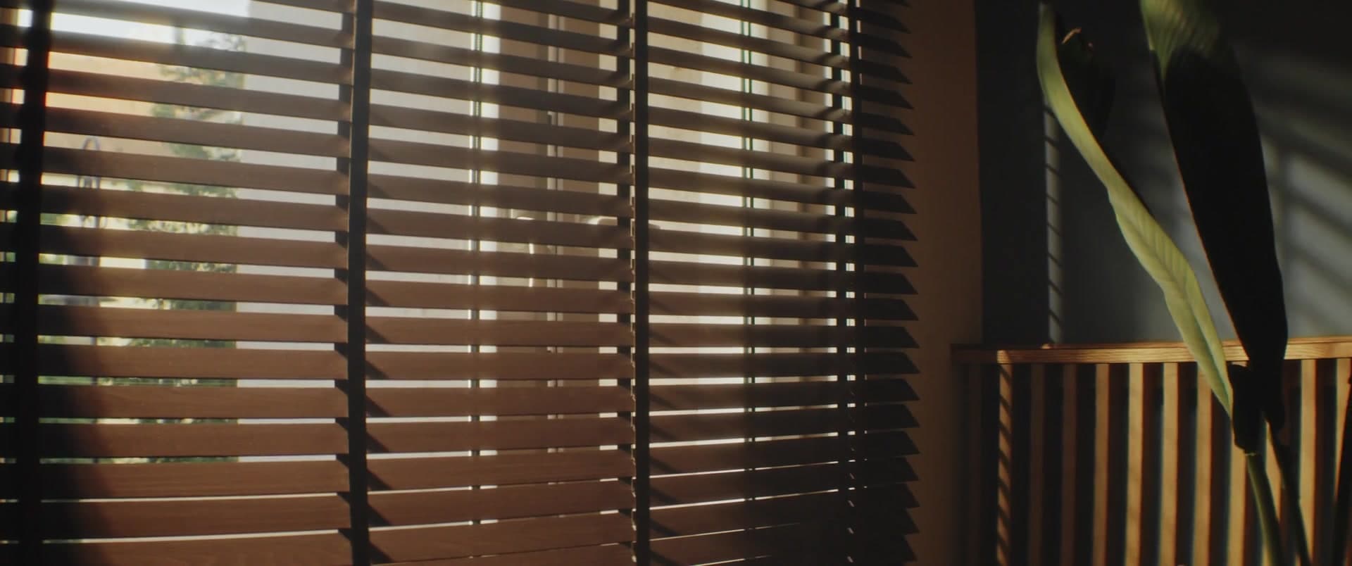 Deluxe custom window coverings and natural sunlight in architectural space